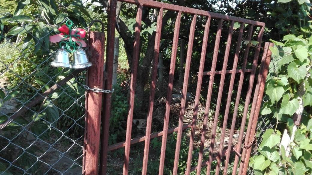 Вилна Зона Златни Пясъци, Спирка Ален Мак 바르나 외부 사진
